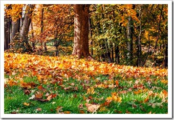 Clinton MS Back Pain