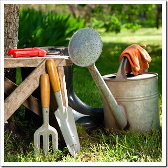 Spinal Health Gardening Clinton MS