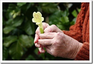 Arthritis Pain Relief Clinton MS
